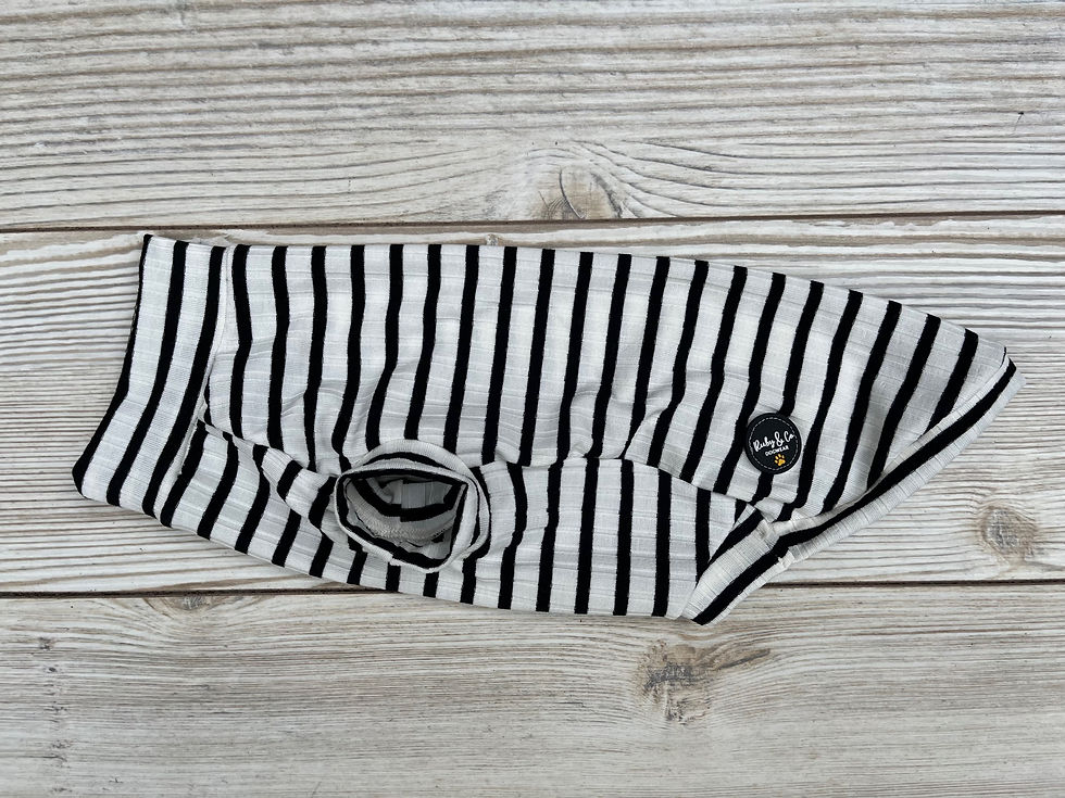 Thumbnail: Dachshund Spring/Summer Sailor Jummy