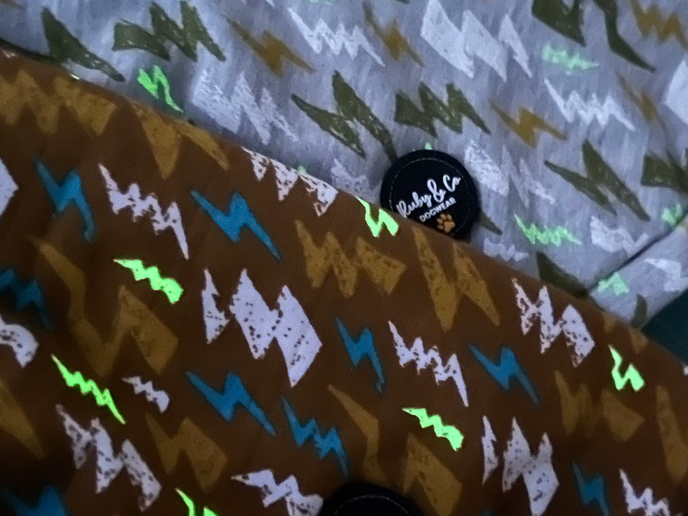 Thumbnail: Dachshund Glow in the Dark  Jummy