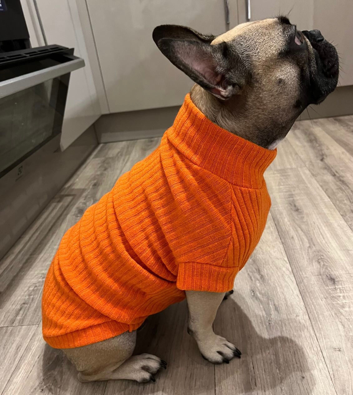 Ribbed Frenchie jummies 