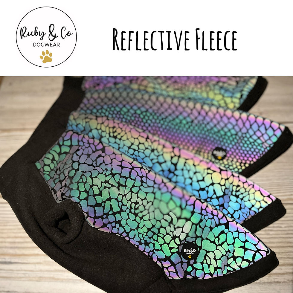 Thumbnail: Dachshund Reflective, polar fleece