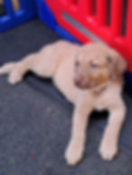 Resized_20230713_133341(1)