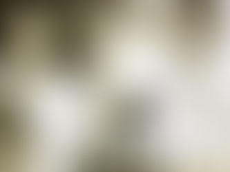 UMBERTO CALDERARO FILHO