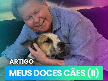 MEUS DOCES CÃES (II)