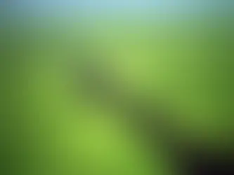 Amazônia sob ataque