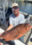 CuberaSnapperatbottomsup