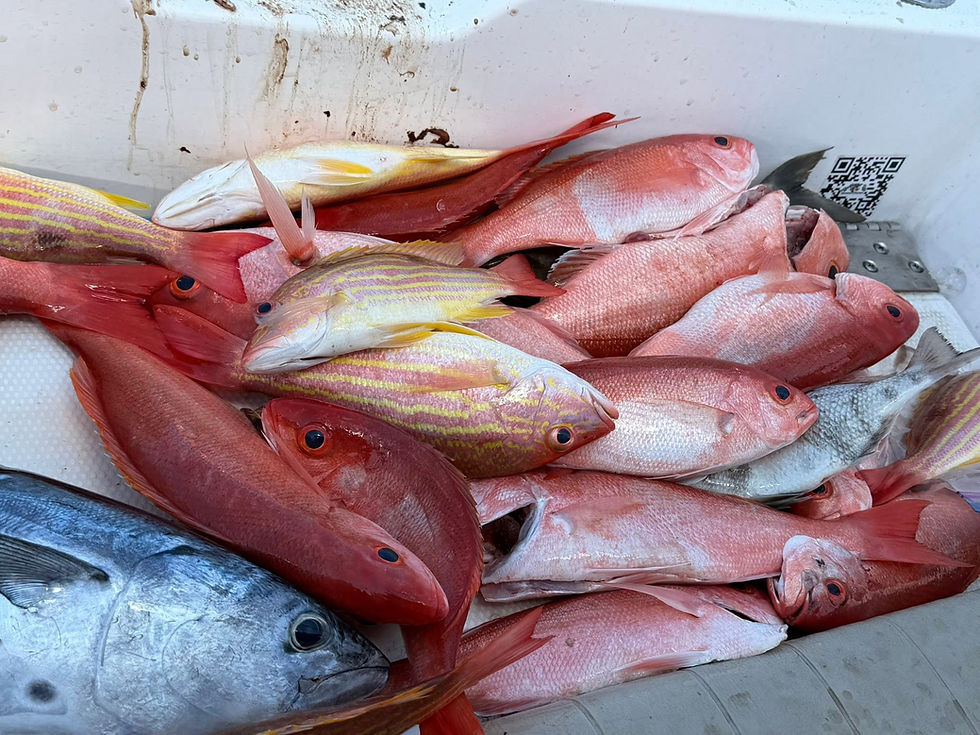the cooler is full