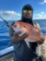 yellow eye 2
