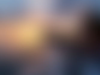 I’m going to share some of my insider secrets for dolphin watching in our beautiful South Florida waters, and how we at Bottom Up Adventure Charters make sure you have the best possible chance of witnessing these incredible animals.