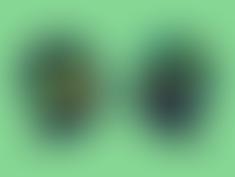 Mengatasi Bias Investasi: Jangan Salah Ambil Keputusan!