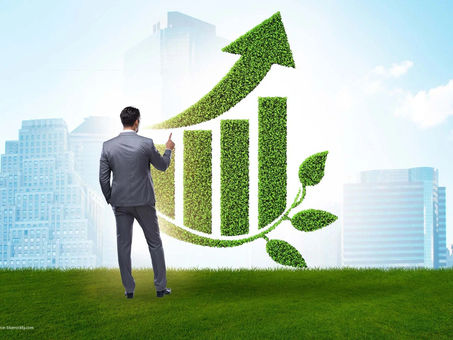 Sustainable Investment: Assessing ESG Standards of Issuers