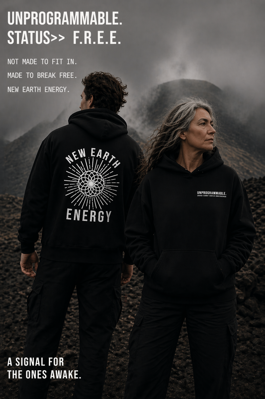 Unprogrammable >> STATUS F.R.E.E. Unisex Plain Pullover Hoodie