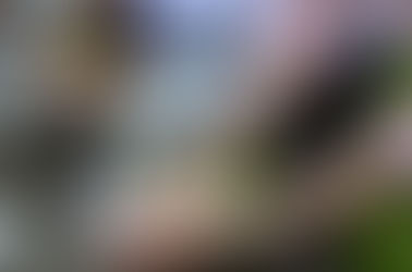 🌿 𝐑𝐞́𝐬𝐨𝐥𝐮𝐭𝐢𝐨𝐧 𝐧°𝟒 : 𝐬’𝐚𝐩𝐩𝐮𝐲𝐞𝐫 𝐥𝐞𝐬 𝐬𝐜𝐢𝐞𝐧𝐭𝐢𝐟𝐢𝐪𝐮𝐞𝐬 𝐞𝐭 𝐥𝐞𝐮𝐫 𝐭𝐫𝐚𝐯𝐚𝐢𝐥