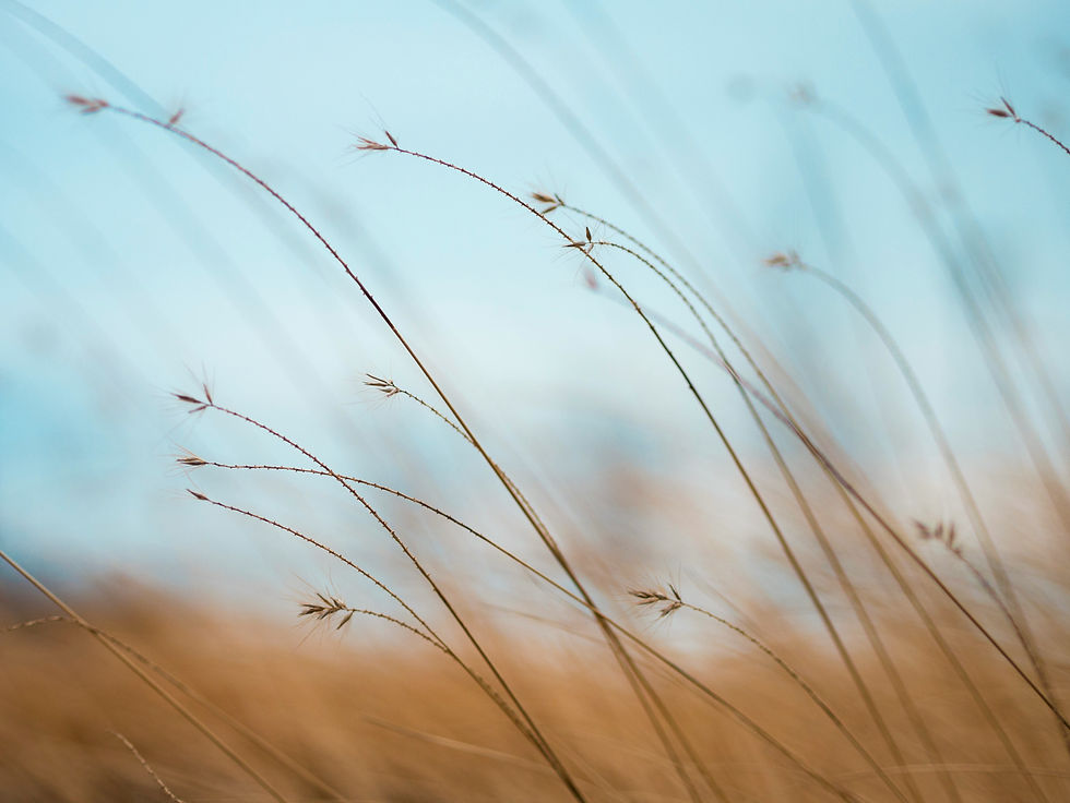 🌿 𝐑𝐞́𝐬𝐨𝐥𝐮𝐭𝐢𝐨𝐧 𝐧°𝟑 : 𝐟𝐚𝐢𝐫𝐞 𝐫𝐞𝐬𝐩𝐢𝐫𝐞𝐫 𝐥𝐞𝐬 𝐠𝐞𝐧𝐬