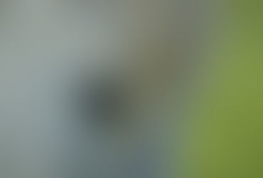 🌱✨ 𝑨 𝒍𝒂 𝒓𝒂𝒄𝒊𝒏𝒆 𝒅𝒆 𝒍𝒂 𝒃𝒊𝒐-𝒊𝒏𝒔𝒑𝒊𝒓𝒂𝒕𝒊𝒐𝒏 : 𝒍’𝒆́𝒎𝒆𝒓𝒗𝒆𝒊𝒍𝒍𝒆𝒎𝒆𝒏𝒕