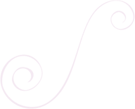 Vector(10).png