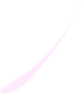 Vector(1)_edited.png