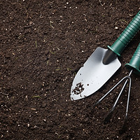 screened top soil