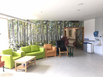 Wall vinyl graphic