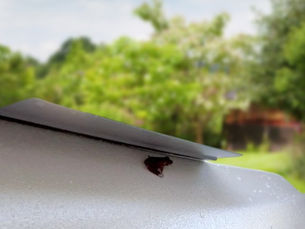 How to Keep Frogs Out of a Hot Tub Humanely