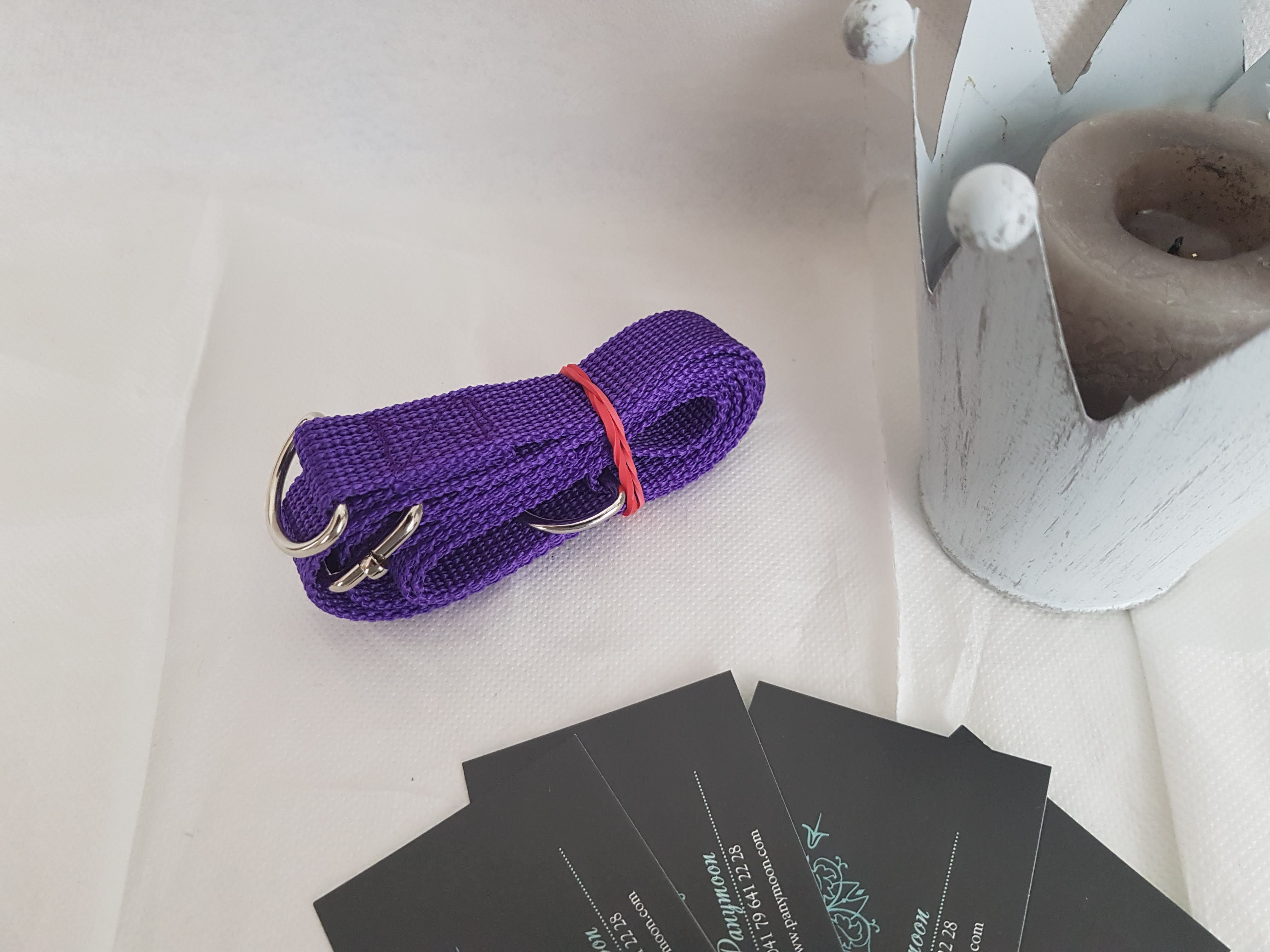 TRAGEBAND FÜR HUNDEACCESSOIRES - VIOLETTE