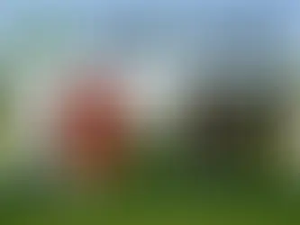 Best Golf Books for Beginners and Professionals in 2026