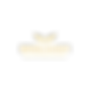 BROLIVION (9).png