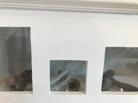 image00004.jpeg