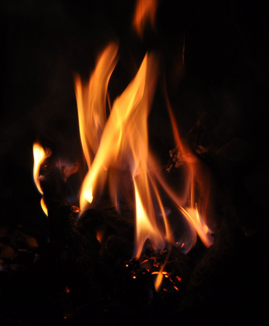 Flames against a black, night background.