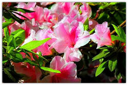 20150503_190622_183