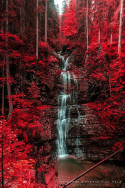 Waterfall and blazing red autumn forest ~ Austria