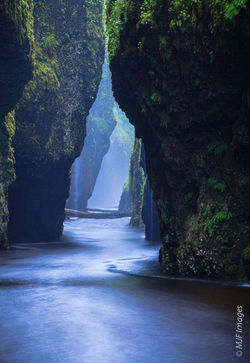 Oneonta Narrows - Columbia River Gorge, Oregon