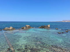 IMG_6775.jpeg