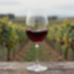 three capes vineyard glass of wine