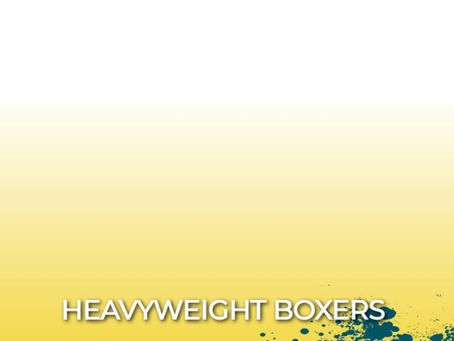 JDNB HEAVYWEIGHT BOXERS MIX SERIES