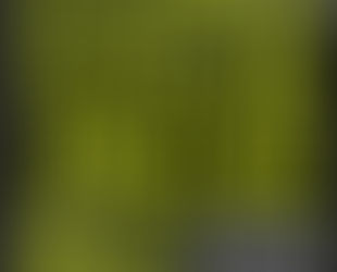 Jungle Daze (feat. Natalie Williams) Break Remix