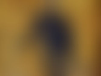 Dunk - Jungle Cat - Don Mambo