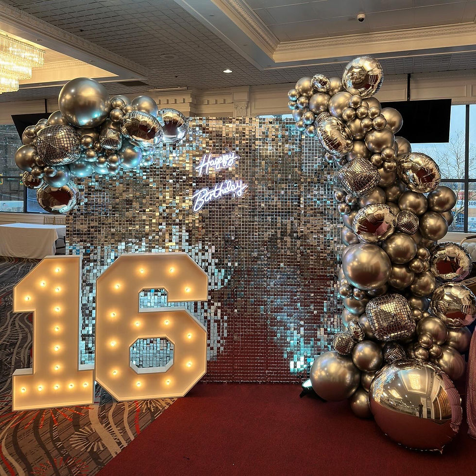 Disco backdrop 16th birthday