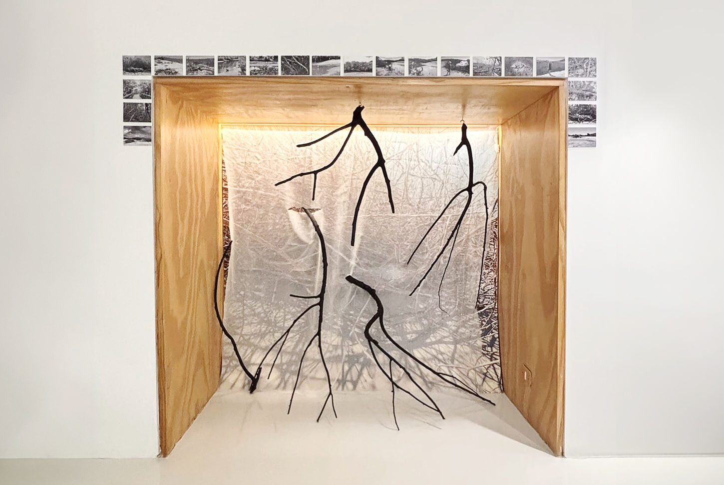 Instalação Mangue, 2025