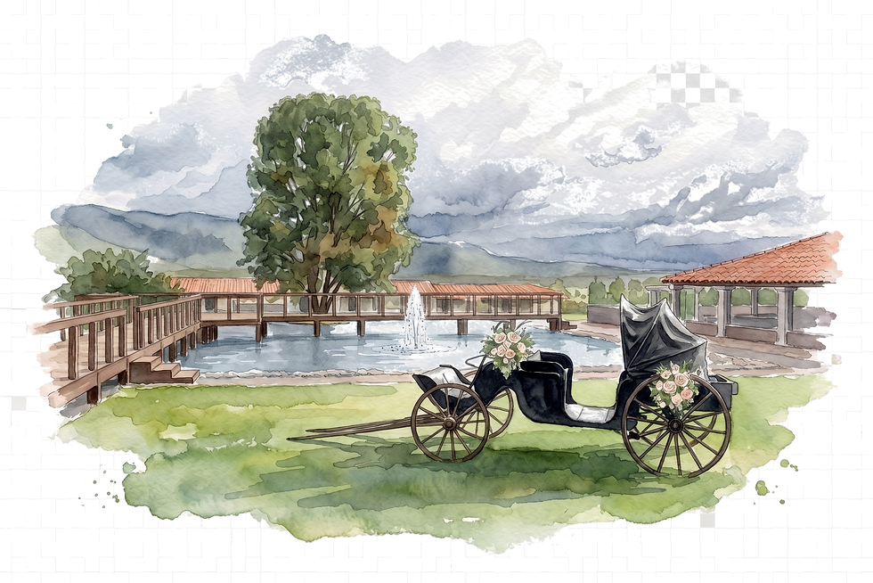acuarela_carruaje_sin_fondo.png