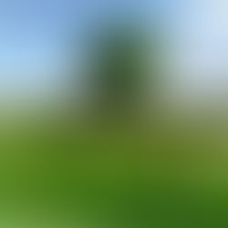 Music for the Hangover: Ambient music for the Soul