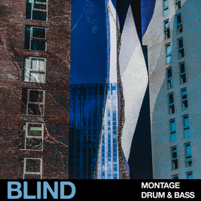Out Now: Loopcloud Exclusive -Montage - Drum & Bass