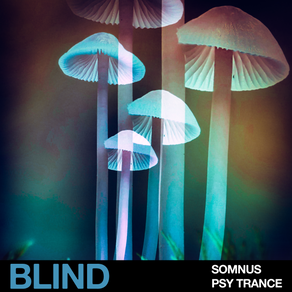 Top 10 Blind Audio Sample Packs 2022