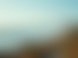 Elevate Your Destination with MIRA's Strategic Representation