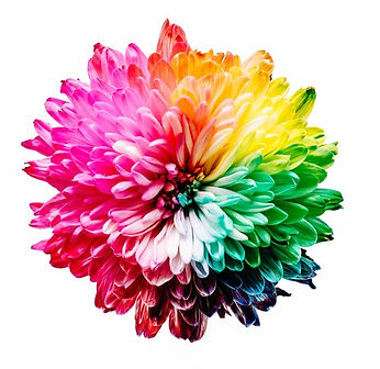 Skin Colour Analysis - Discover colours that bring out the beauty in you!