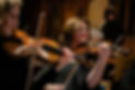 sleigh-ride-playing-violin-6.jpg