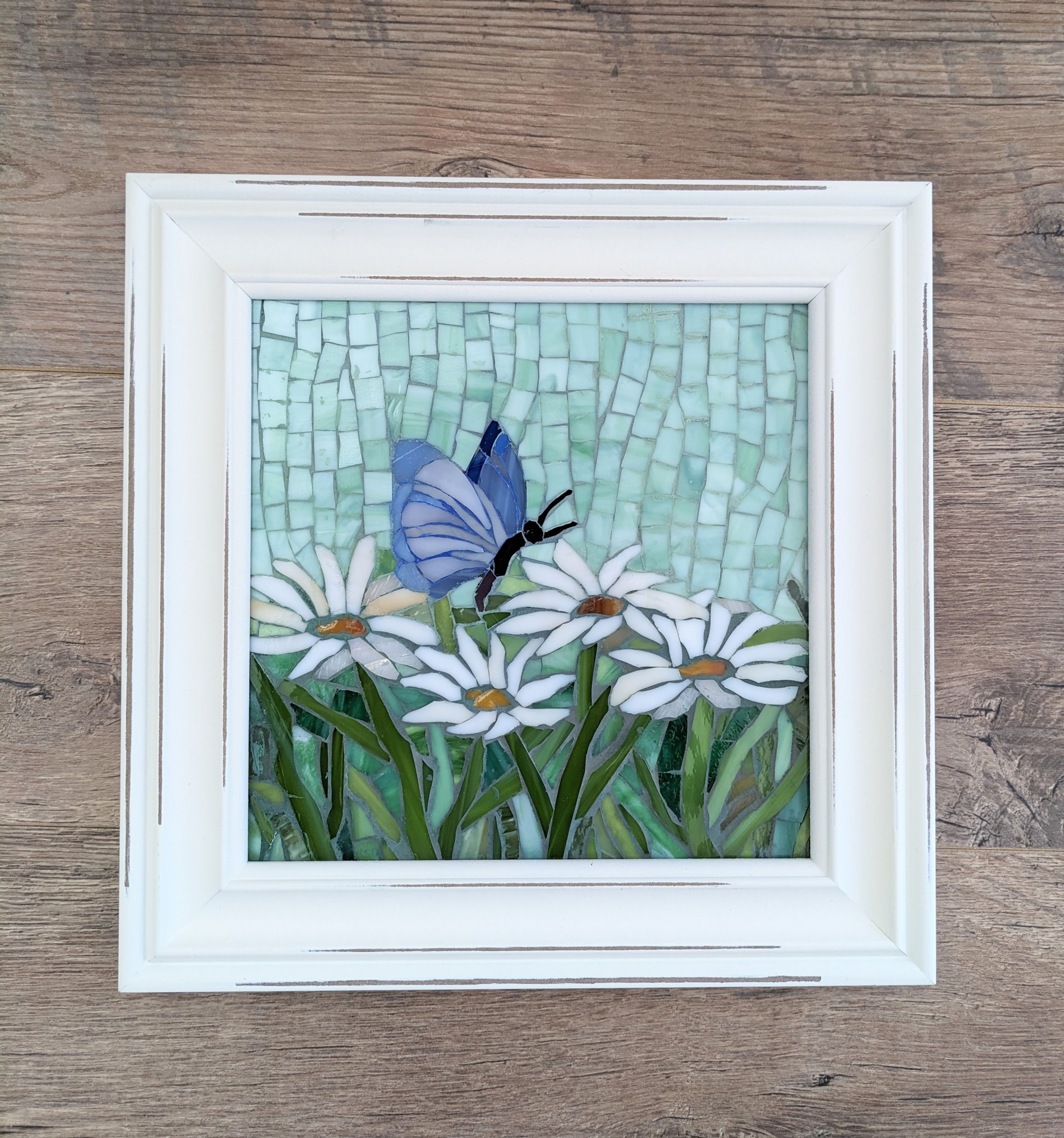 Eastern Tailed Butterfly