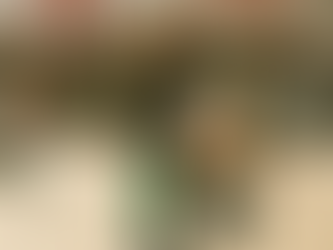 Missouri Grants Transport License to Man with a Lime Scooter and a Trash Bag