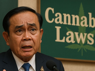 Thai government official looking visibly confused while discussing cannabis laws, standing at a podium in front of a sign reading “Cannabis Laws”