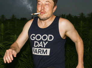 Salvia fueled Elon now auditing backwoods of the Ozarks