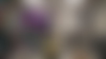 A Curio Wellness manager stands in front of the camera as a Greenlight sales floor is slowly transformed with a beige tone and stale design elements. The vibe is sterile and awkward — a visual eulogy for weed culture.